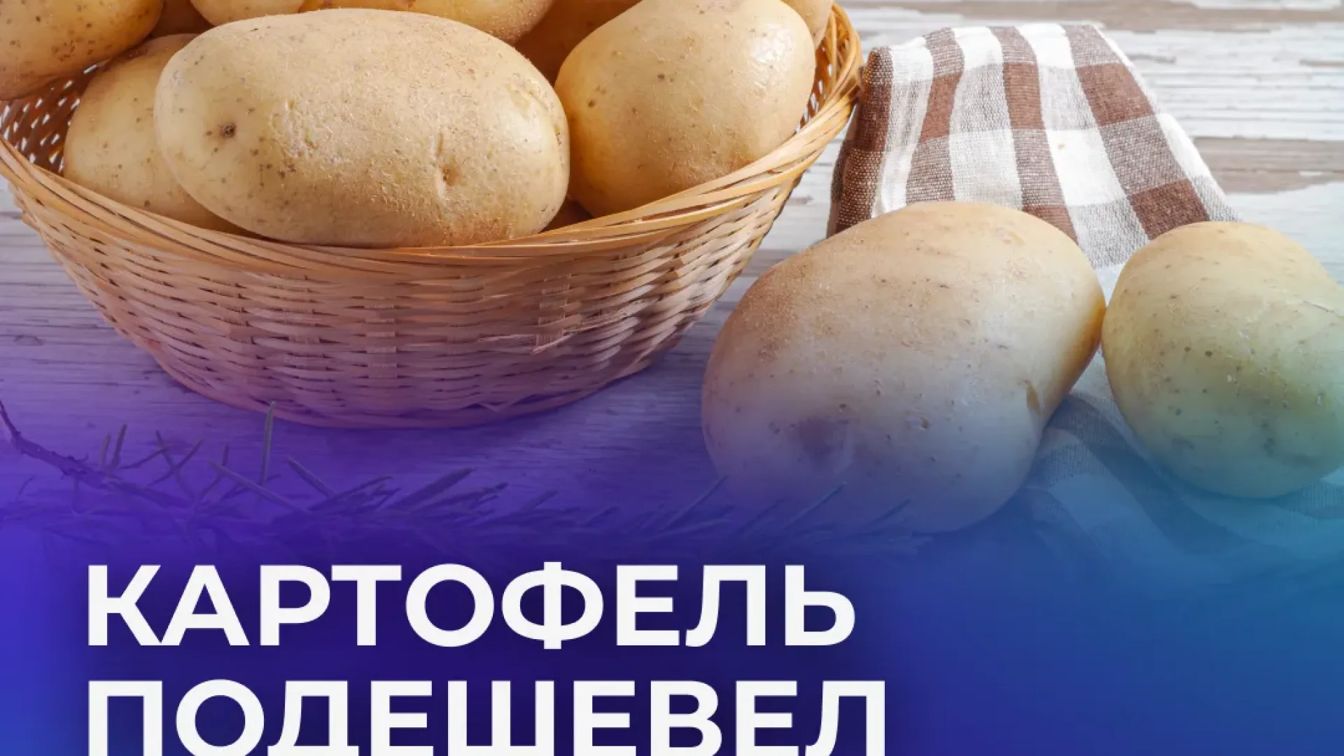 Картофель в России рухнул в цене почти на 40% — сезонный сюрприз для кошельков