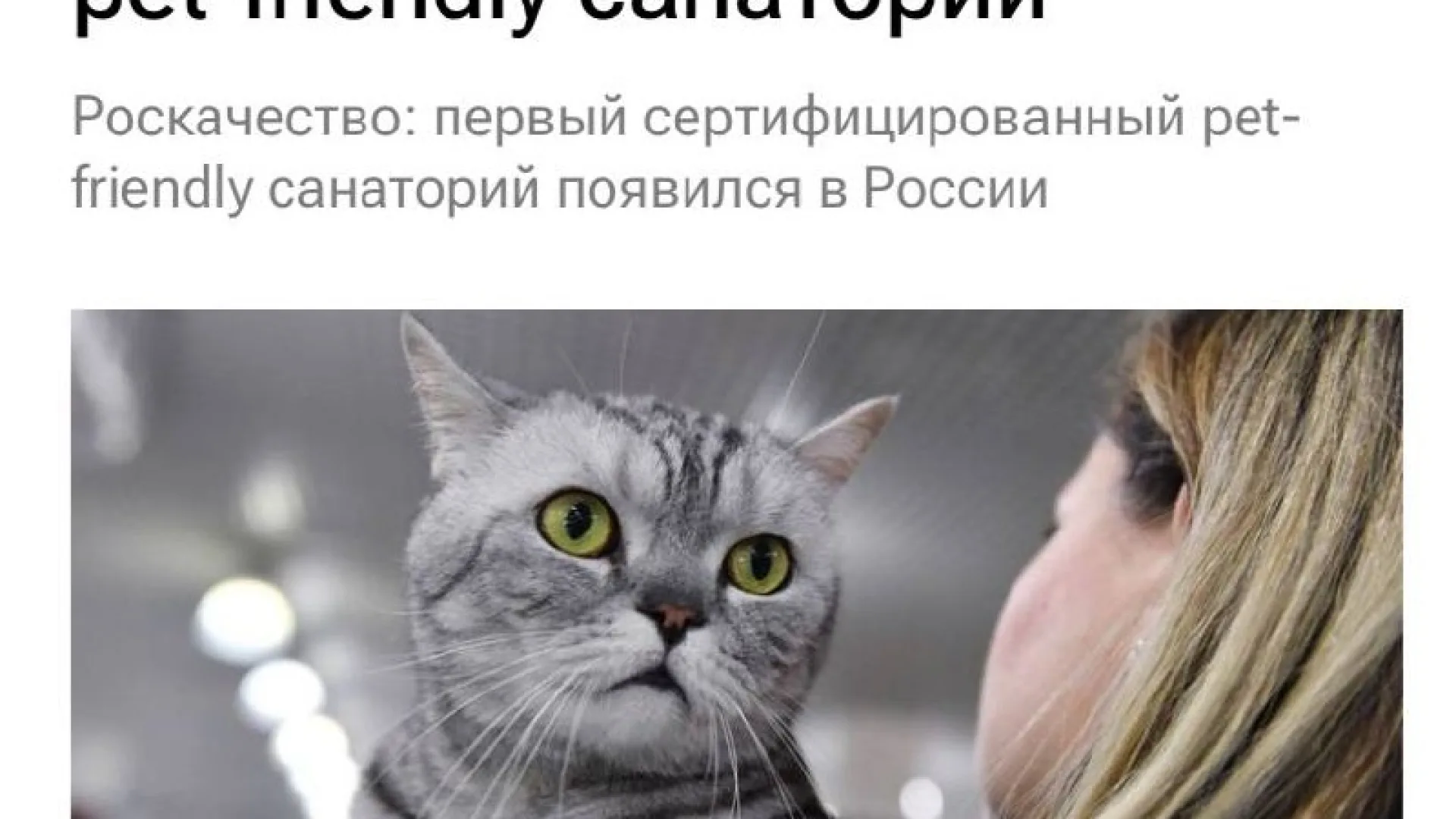 В России открылся санаторий для тех, кто не расстаётся с питомцами