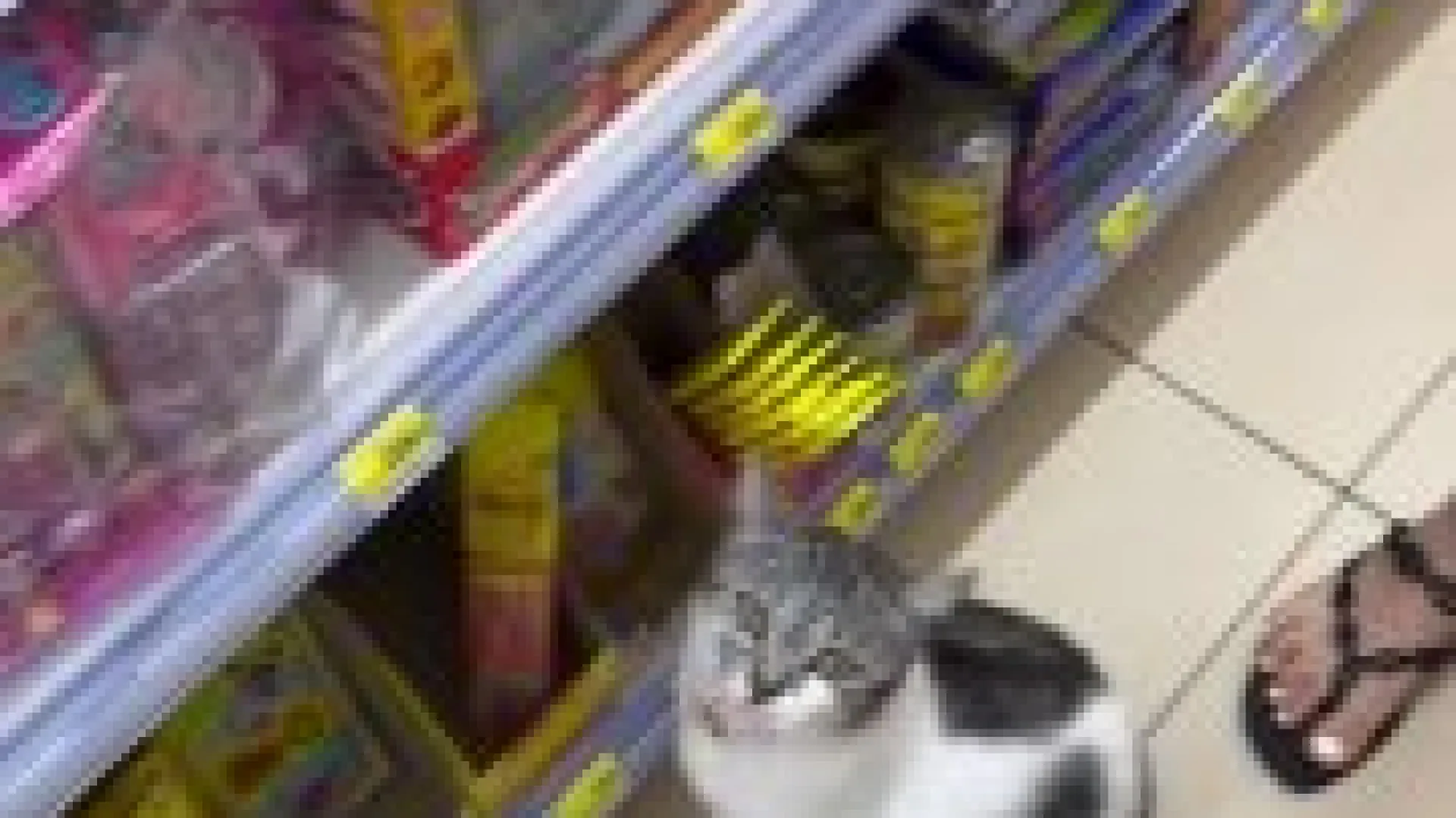 В Таиланде кошка устроила хитрый гастрономический квест в 7-Eleven для туристов
