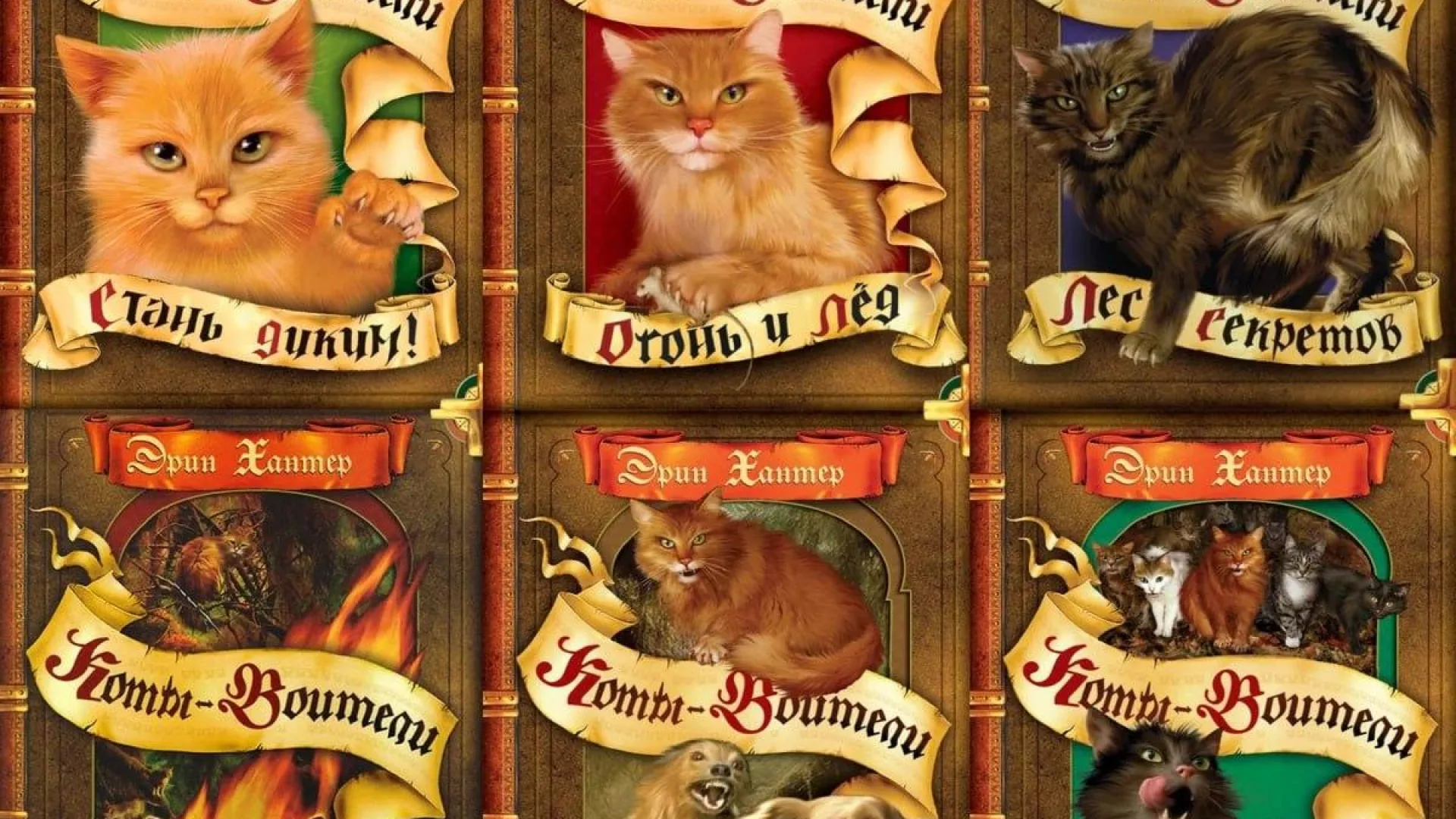 «Коты-Воители» берут реванш: анимационный сериал вместо громоздкой киновселенной