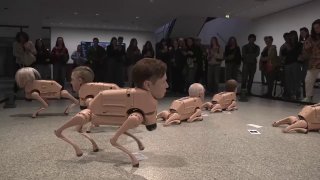На выставке в Берлине бегают робопсы с головами Маска, Цукерберга, Безоса, Пикассо и Уорхола.