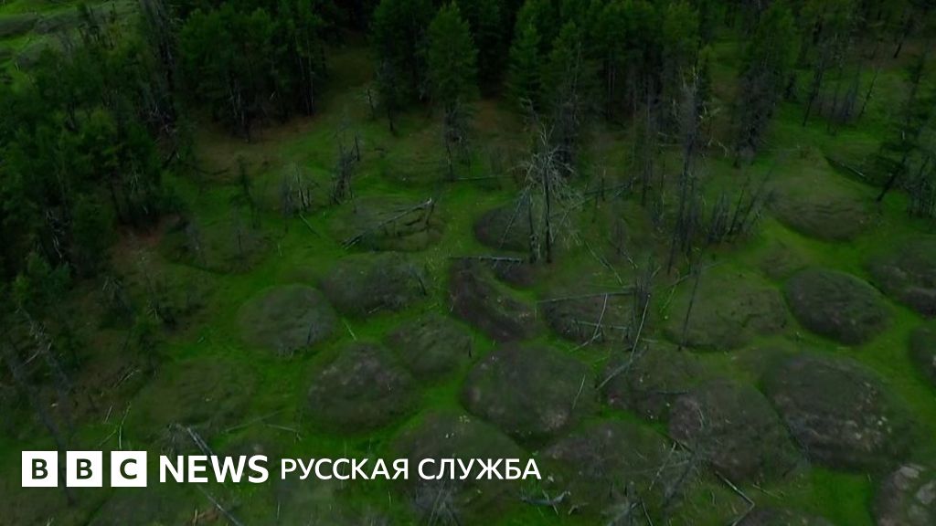 В вечной мерзлоте были открыты самые крупные из вирусов, и многие из них безопасны для человека.