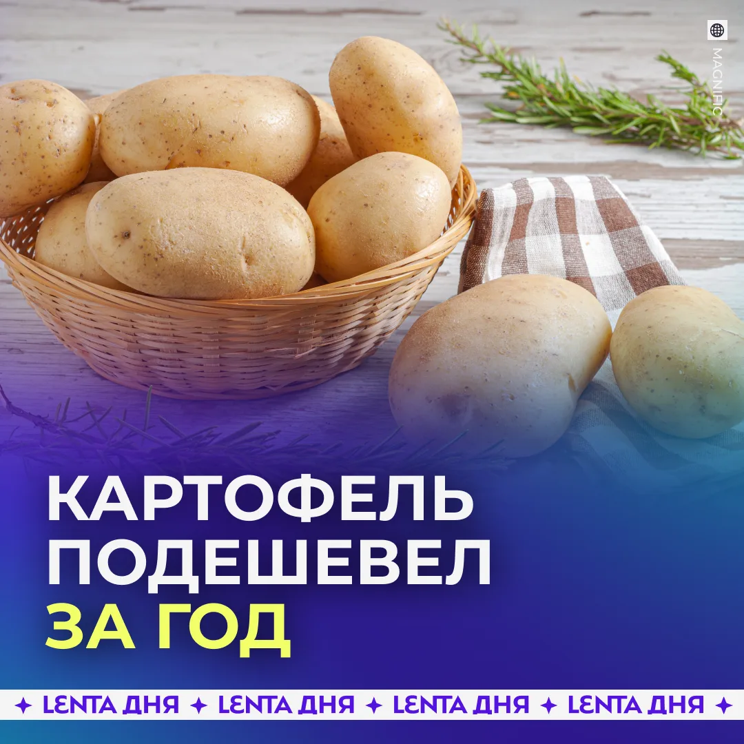 Картофель в России рухнул в цене почти на 40% — сезонный сюрприз для кошельков