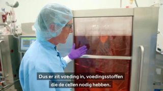 Нидерланды открыли ферму без животных: мясо из биореакторов уже на подходе