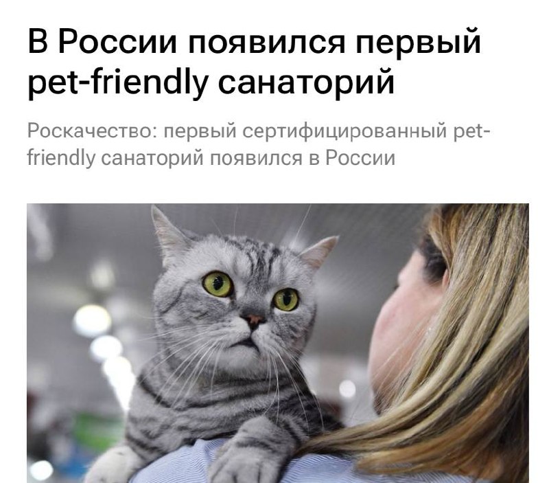 В России открылся санаторий для тех, кто не расстаётся с питомцами