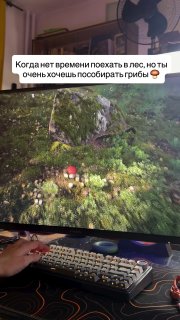 Психологи объяснили дофаминовый эффект и азарт в сборе грибов с природными ограничениями