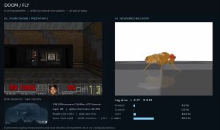 Цифровая муха осваивает DOOM: нейросеть с 166 тысячами нейронов в деле