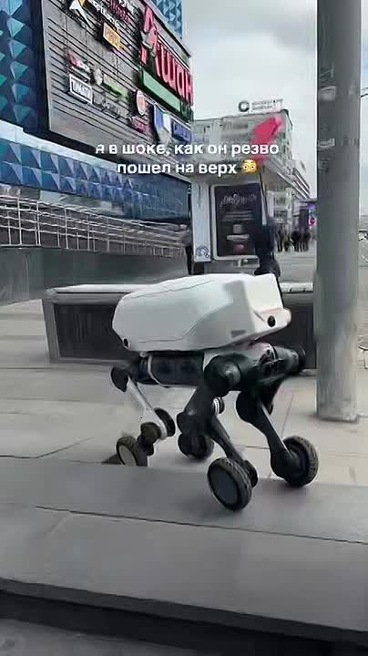 Сбер тестирует роботов-курьеров на базе робопсов в Москве

Сбер действительно тестирует четвероногих роботов-курьеров: на видео, снятом в Москве, запечатлен робопес с курьерским ящиком и логотипом банка.